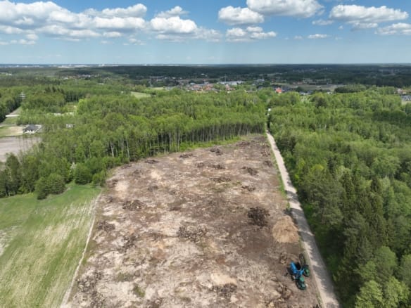 Piękna natura wokół działki