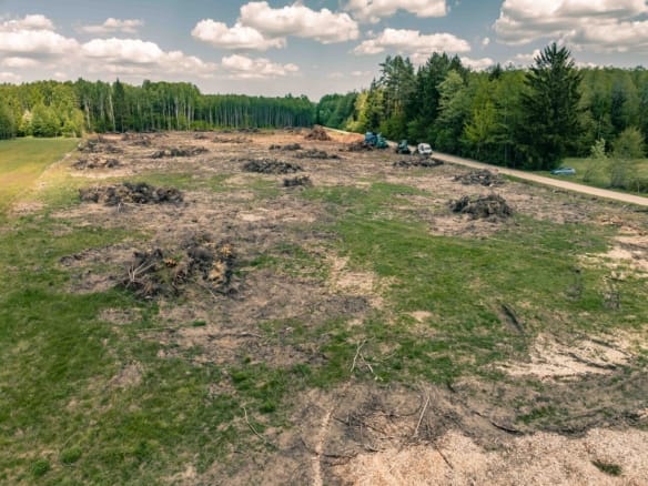 Działka do kupna w Ignatkach